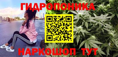 МДПВ Брянск