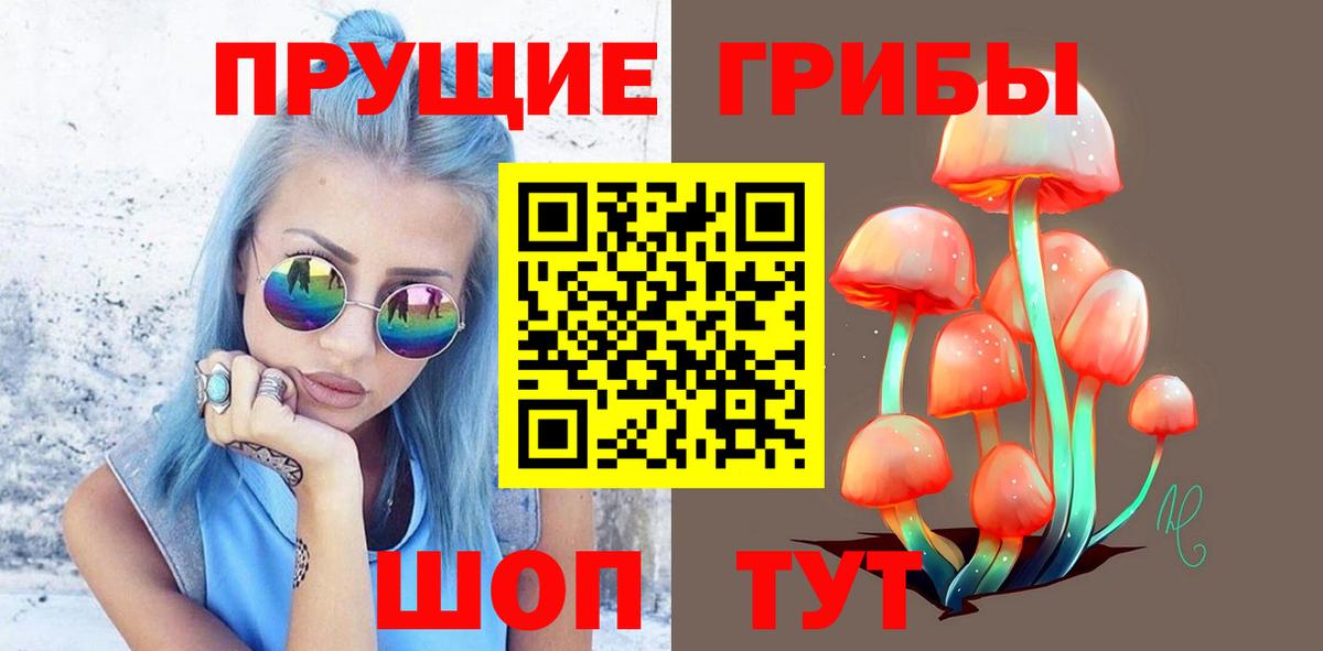 Псилоцибиновые грибы GOLDEN TEACHER Альметьевск